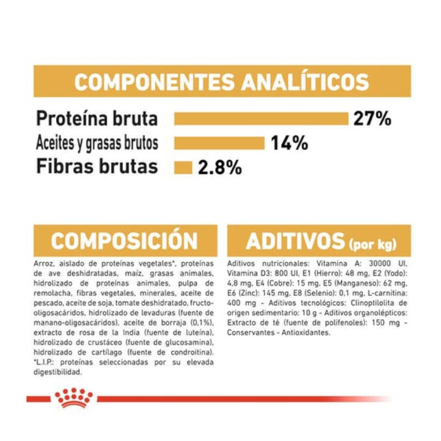 3 kg Royal Canin Adult Cavalier King Charles ra&ccedil;&atilde;o para c&atilde;es, , large Imagem n&uacute;mero 6