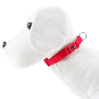 Nayeco Basic Coleira Vermelha de Nylon para cães 