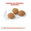Royal Canin Adult Exigent Protein ração para gatos, , large Indicador imagem número 3