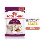 Royal Canin Adult Sensory Taste molho saqueta para gatos, , large image number null