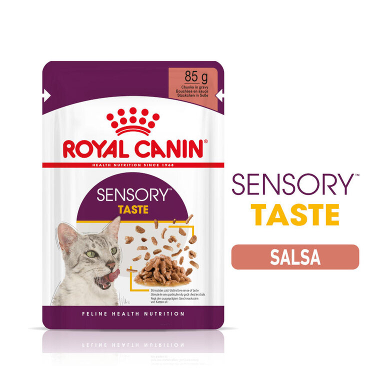 Royal Canin Adult Sensory Taste molho saqueta para gatos, , large image number null