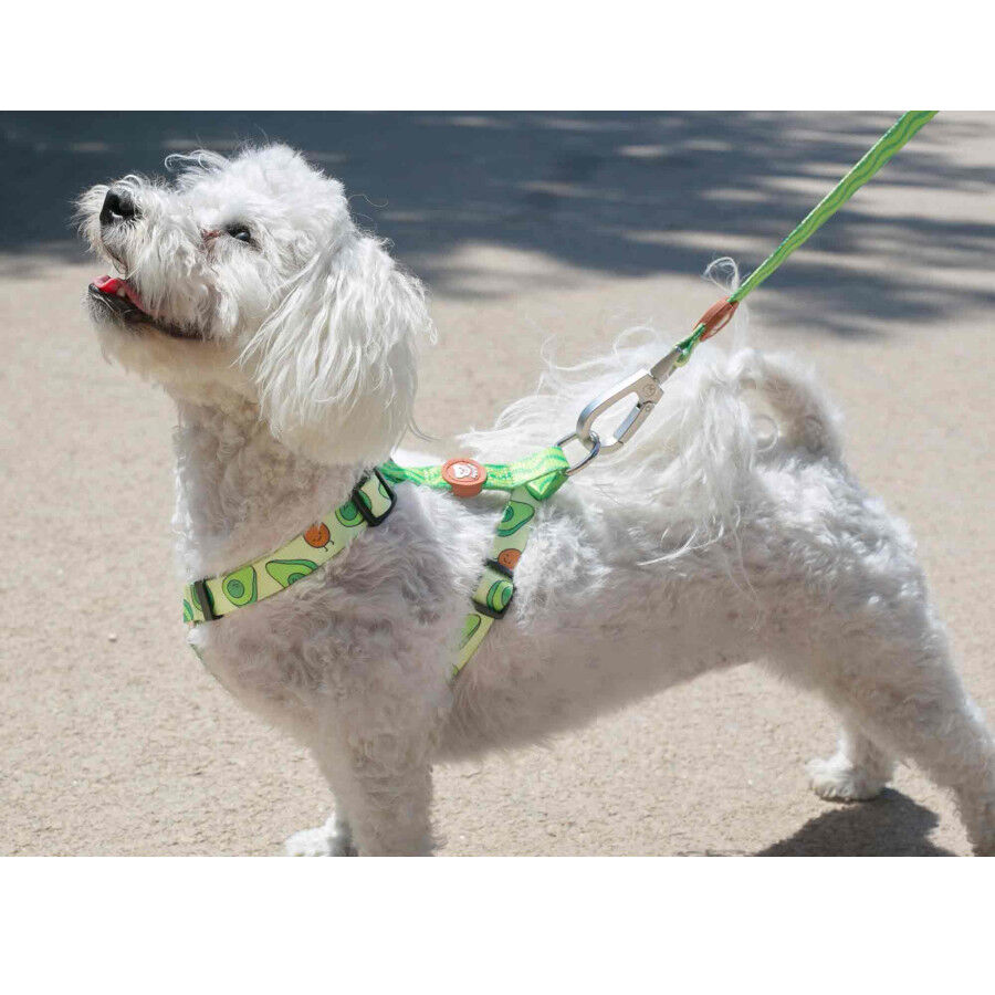 Dukier Avocado Cl&aacute;ssico Peitoral com Estampado de Abacate para c&atilde;es , , large Imagem n&uacute;mero 2