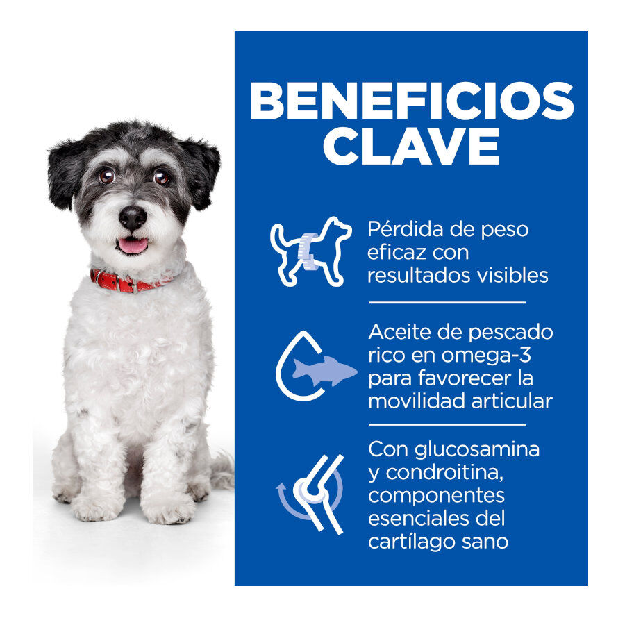 Hill's Small e Mini Perfect Weight e Active Mobility Frango ra&ccedil;&atilde;o para c&atilde;es, , large Imagem n&uacute;mero 3