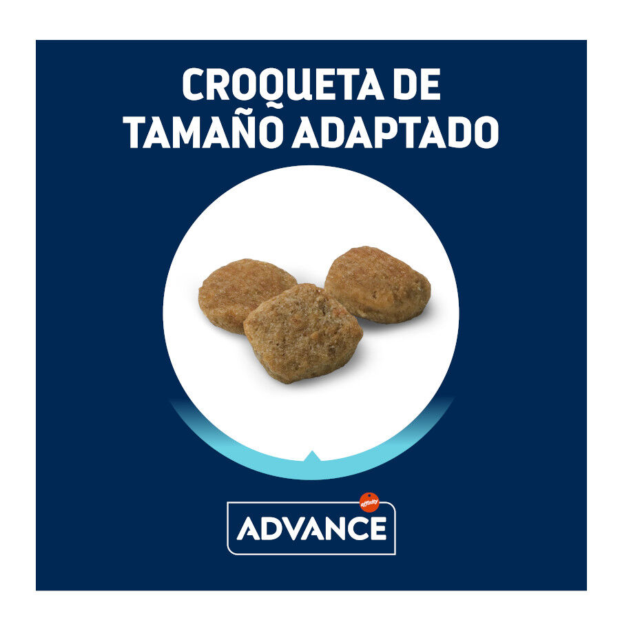 3 kg Advance Active Defense Mini Light Frango e Arroz ra&ccedil;&atilde;o para c&atilde;es, , large Imagem n&uacute;mero 3