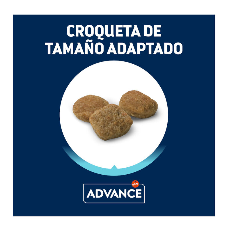3 kg Advance Active Defense Mini Light Frango e Arroz ração para cães,  Imagem número 3 3 kg Advance Active Defense Mini Light Frango e Arroz ração para cães, , large Imagem número 3