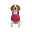 Gotoo Casaco Imperme&aacute;vel Refletor Vermelho para c&atilde;es, , large Indicador imagem n&uacute;mero 7