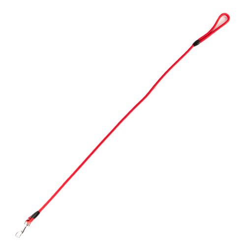 TK-Pet Ronda correa fina para perros roja Imagem n&uacute;mero 1