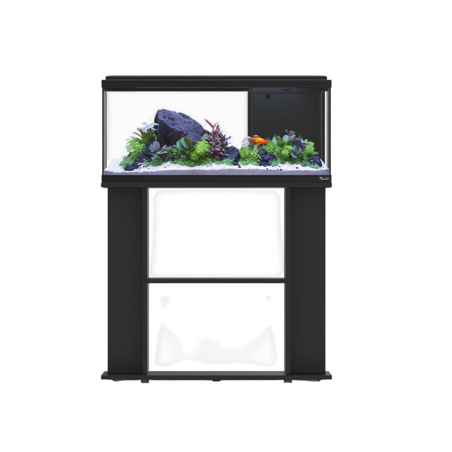 &nbsp;, , large Imagem n&uacute;mero 2