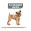 3 kg Royal Canin Mini Dental Care ração para cães, , large Indicador imagem número 4