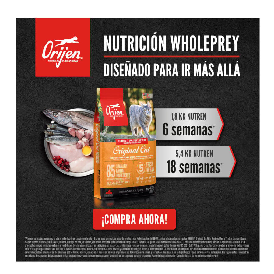 5.4 kg Orijen Six Fish ra&ccedil;&atilde;o para gatos, , large Imagem n&uacute;mero 7