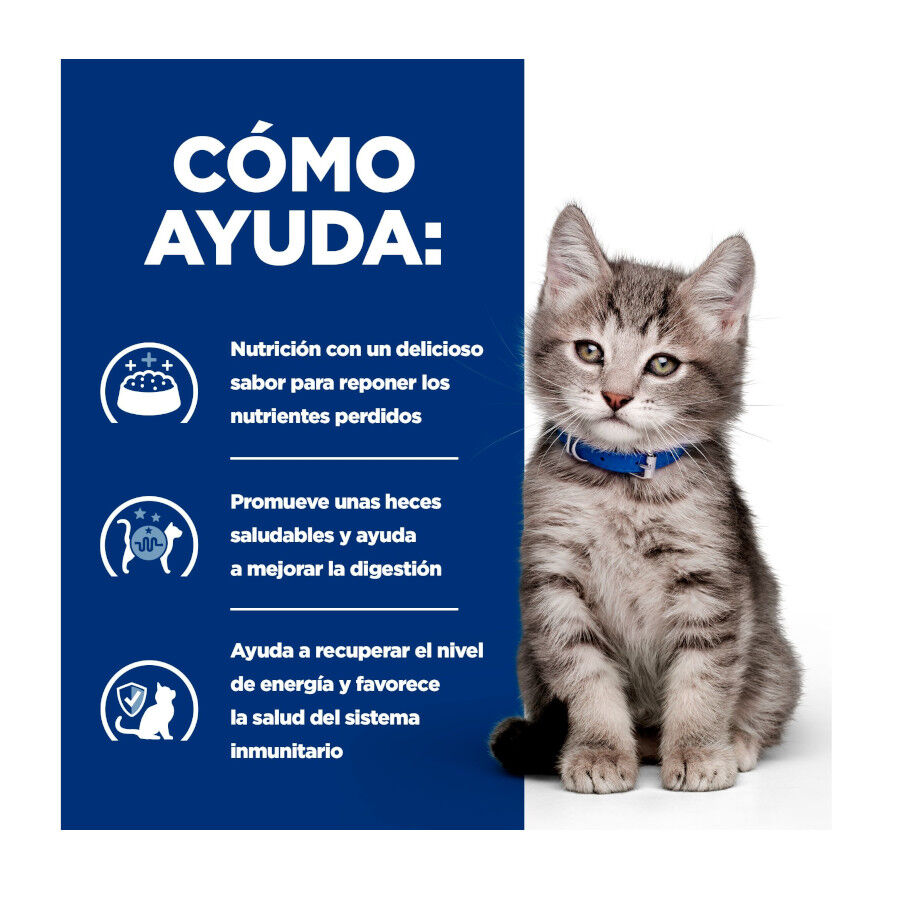 1.5 kg Hill's Prescription Diet i/d Digestive Care Kitten Digestivo Ra&ccedil;&atilde;o de frango para gatinhos, , large Imagem n&uacute;mero 4