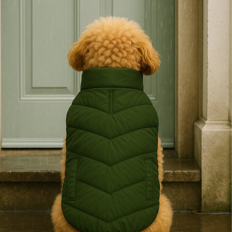 Outech Casaco Impermeável Verde com Bolsos para cães,  Imagem número 3 Outech Casaco Impermeável Verde com Bolsos para cães, , large Imagem número 3