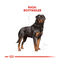 2 x 12 kg Royal Canin Adult Rottweiler ração para cães Pack poupança!, , large Indicador imagem número 4