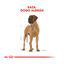 12 kg Royal Canin Adult Dogue Alemão ração para cães, , large Indicador imagem número 4