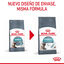 10 kg Royal Canin Intense Hairball ração para gatos, , large Indicador imagem número 3