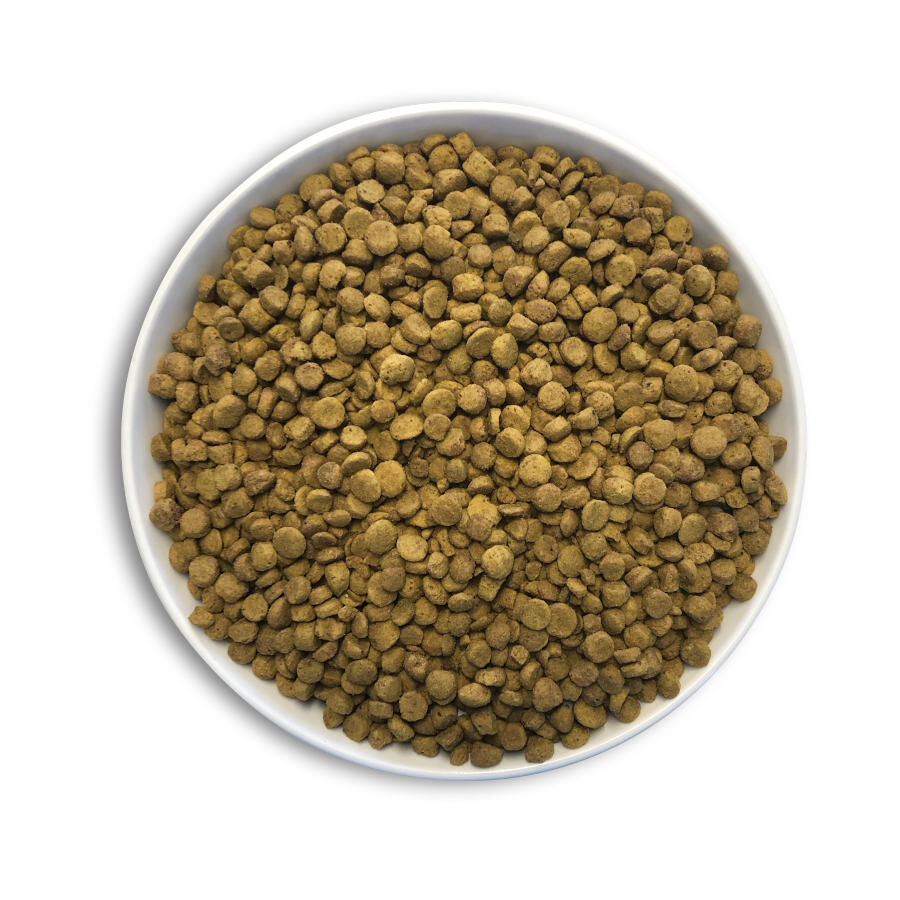 1 kg Cunipic Alpha Pro Parrots Natural Blend Comida para Papagaios, , large Imagem n&uacute;mero 3