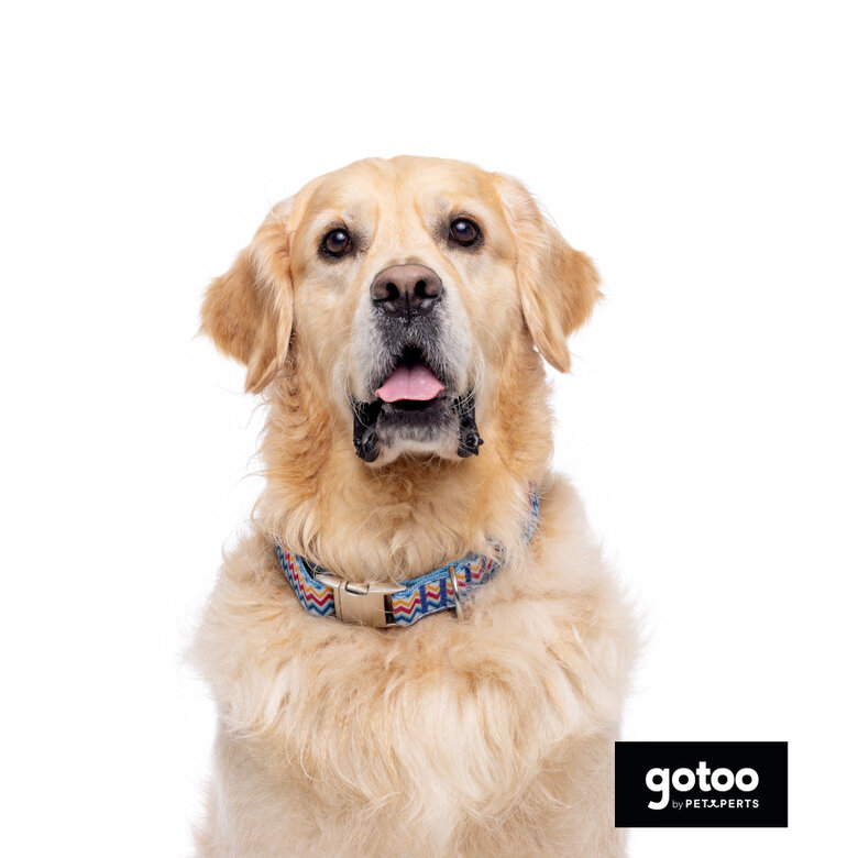 Gotoo Coleira estampada colorida para cães,  Imagem número 3 Gotoo Coleira estampada colorida para cães, , large Imagem número 3