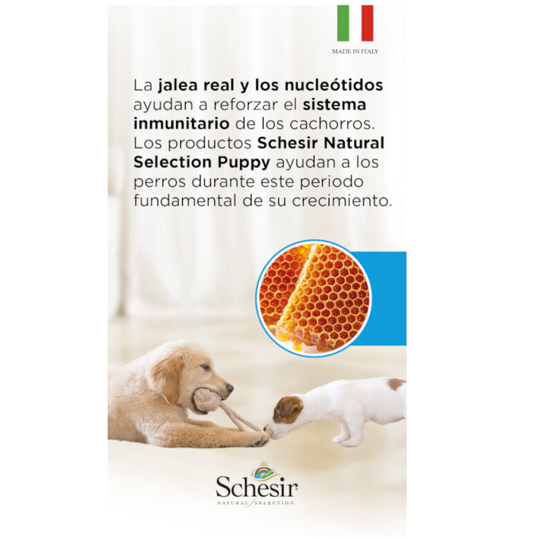 Schesir Puppy Natural Selection Peru pienso , , large image number null