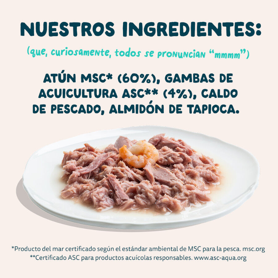70 g Edgard & Cooper Alimento h&uacute;mido de atum e camar&atilde;o em lata para gatos, , large Imagem n&uacute;mero 7