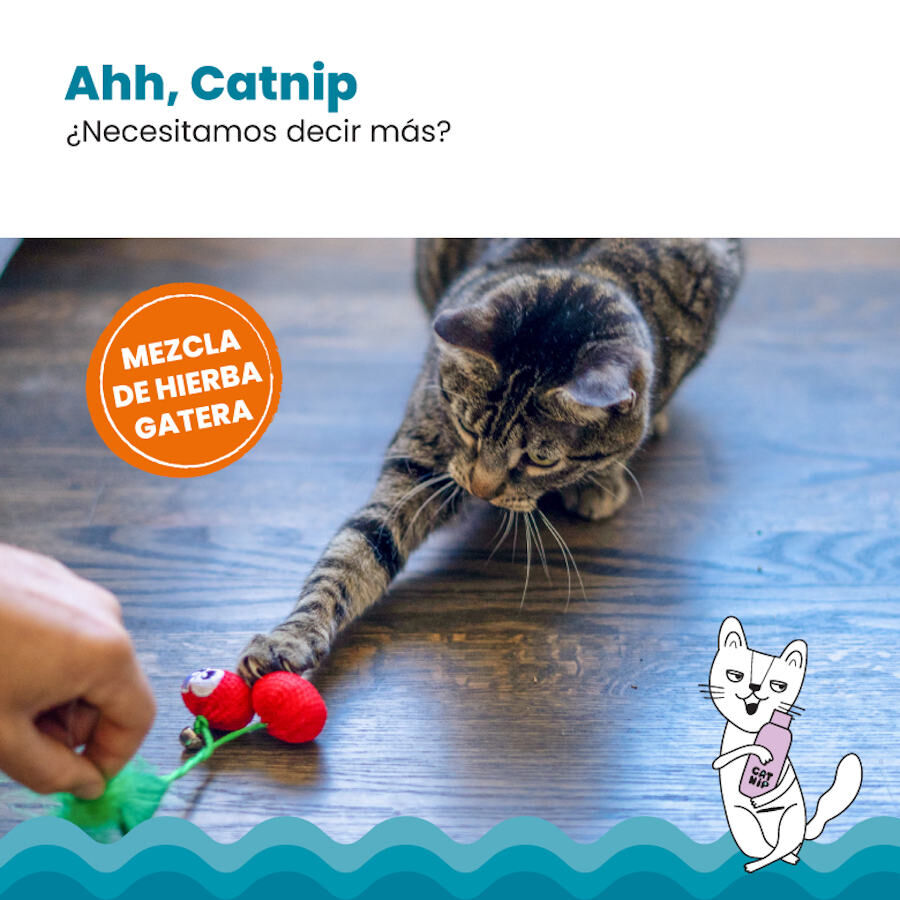 Catstages Dental Cherries Cerejas de Peluche macias para gatos, , large Imagem n&uacute;mero 4