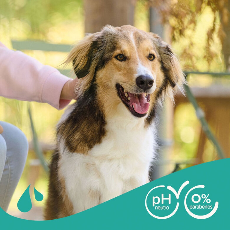 Beaphar Universal Champô para cães , , large image number null