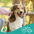 Beaphar Universal Champô para cães , , large image number null