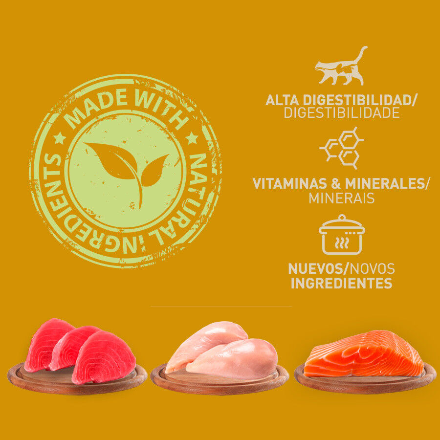 6 latas x 400 g Catzilla Adult Grain Pat&ecirc; em latas para gatos, , large Imagem n&uacute;mero 4