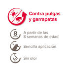 Beaphar FiproTec Pipetas Antiparasitárias para cães de raça pequena, , large image number null