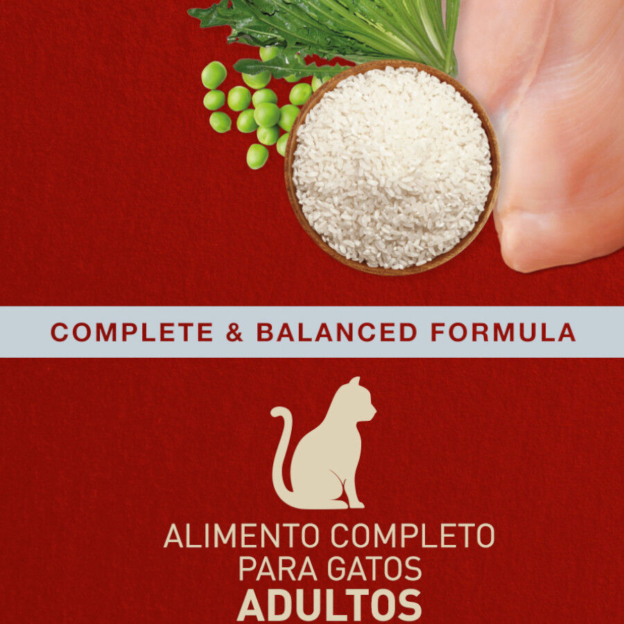 10 kg Catxtreme Adult Outdoors Ra&ccedil;&atilde;o de frango para gatos  , , large Imagem n&uacute;mero 3