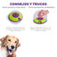 Outward Hound Treat Maze Disco interativo para cães, , large Indicador imagem número 4