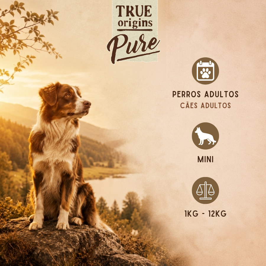 3 kg True Origins Pure Mini Adult Frango ra&ccedil;&atilde;o para c&atilde;es, , large Imagem n&uacute;mero 4