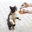Kong Tubos recarregáveis com Catnip para gato, , large Indicador imagem número 2