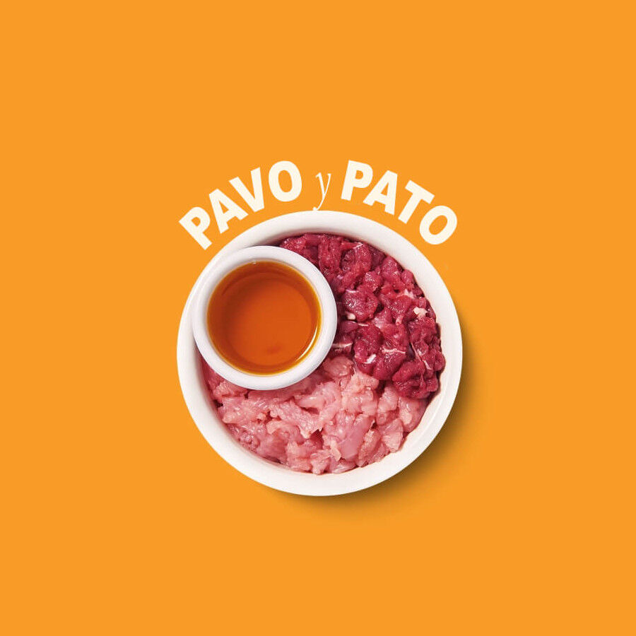 8 terrinas x 85 g Lily's Kitchen Feline Smooth Selection pat&ecirc; terrinas - Multipack, , large Imagem n&uacute;mero 6