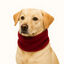 Outech Cachecol Vermelho para cães, , large Indicador imagem número 3