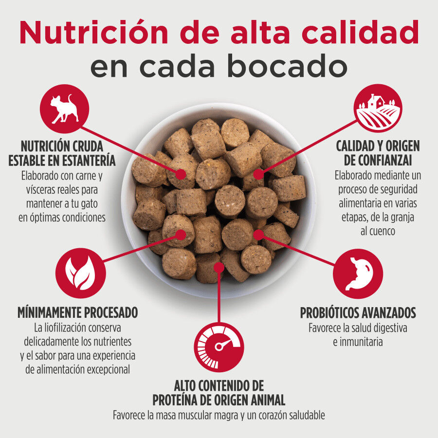 150 g Nulo Freeze Dried Raw Ra&ccedil;&atilde;o de Frango e Salm&atilde;o para gatos, , large Imagem n&uacute;mero 2