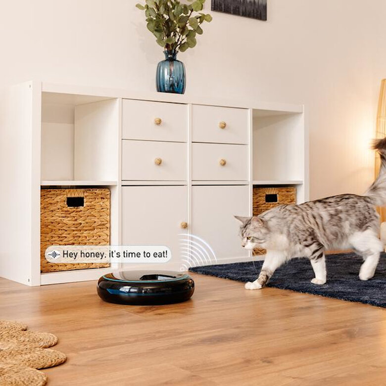 Cecotec Pumba 1600 Purrfect Meal Comedouro Dispensador para cães e gatos,  Imagem número 8 Cecotec Pumba 1600 Purrfect Meal Comedouro Dispensador para cães e gatos, , large Imagem número 8