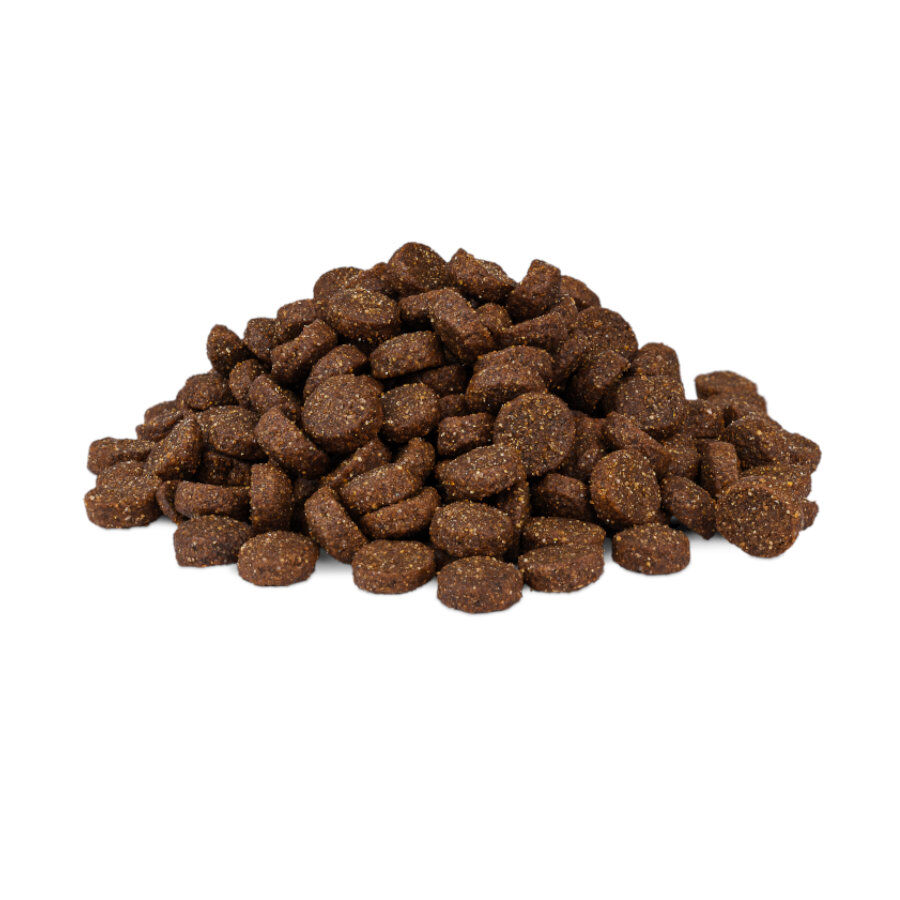 Weego Puppy Ra&ccedil;&atilde;o de frango e arroz para cachorros, , large Imagem n&uacute;mero 2