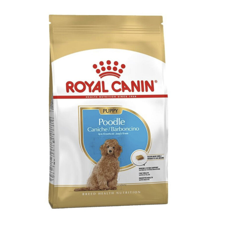 3 kg Royal Canin Poodle Puppy ração para cães,  Imagem número 1 3 kg Royal Canin Poodle Puppy ração para cães, , large Imagem número 1