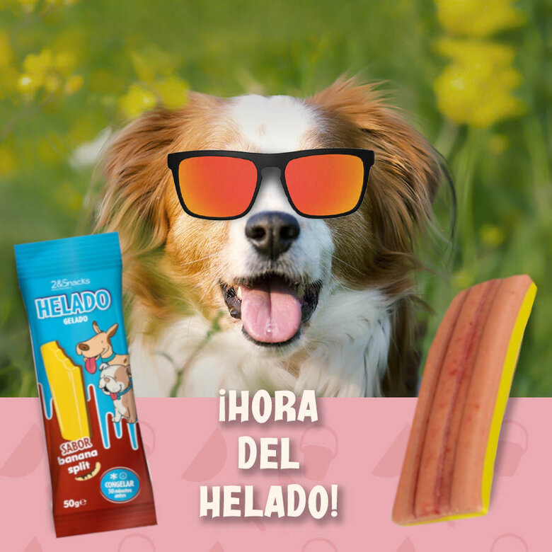 1 ud. 2eSnacks Gelado de Banana Split para cães ,  Imagem número 2 1 ud. 2eSnacks Gelado de Banana Split para cães , , large Imagem número 2