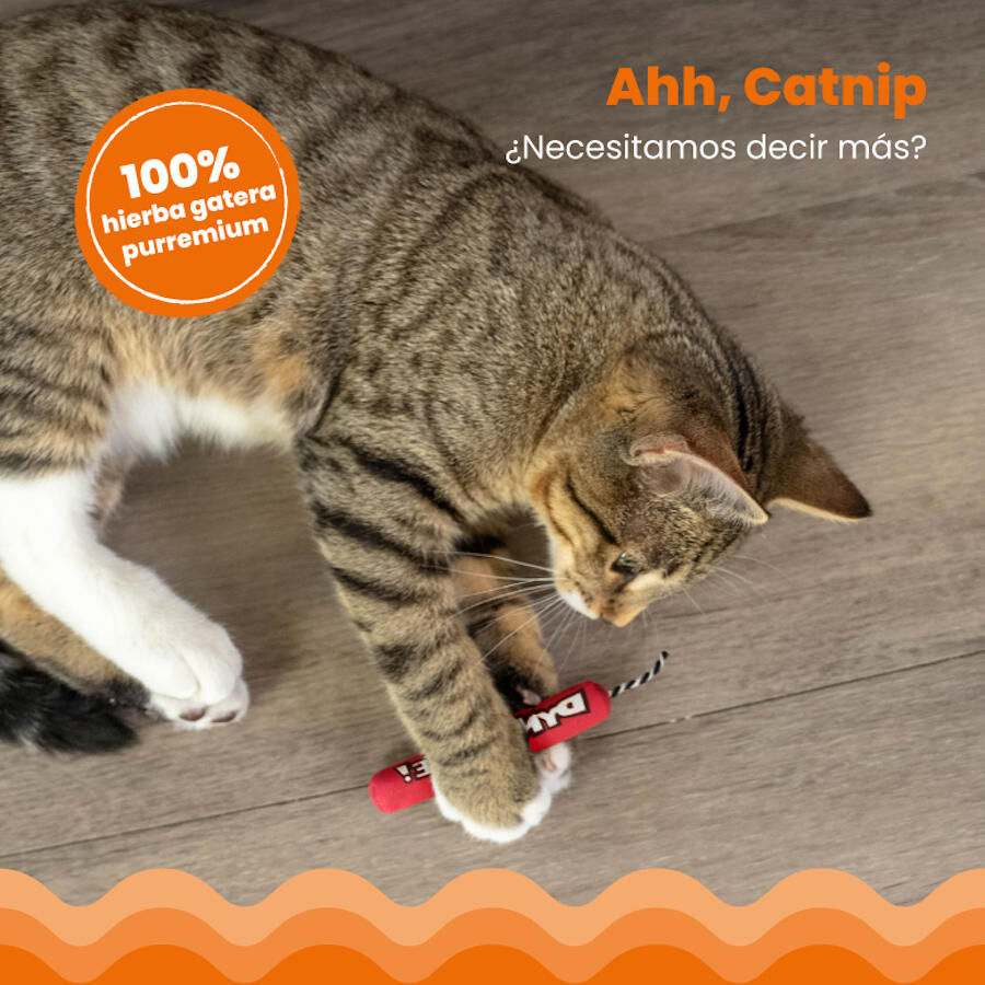 Catstages Green Magic Dynamite Vermelho Peluche para gatos, , large Imagem n&uacute;mero 4