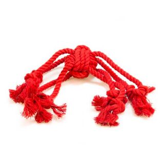 Knot Limit Octopus Mordedor de Cordas para cães