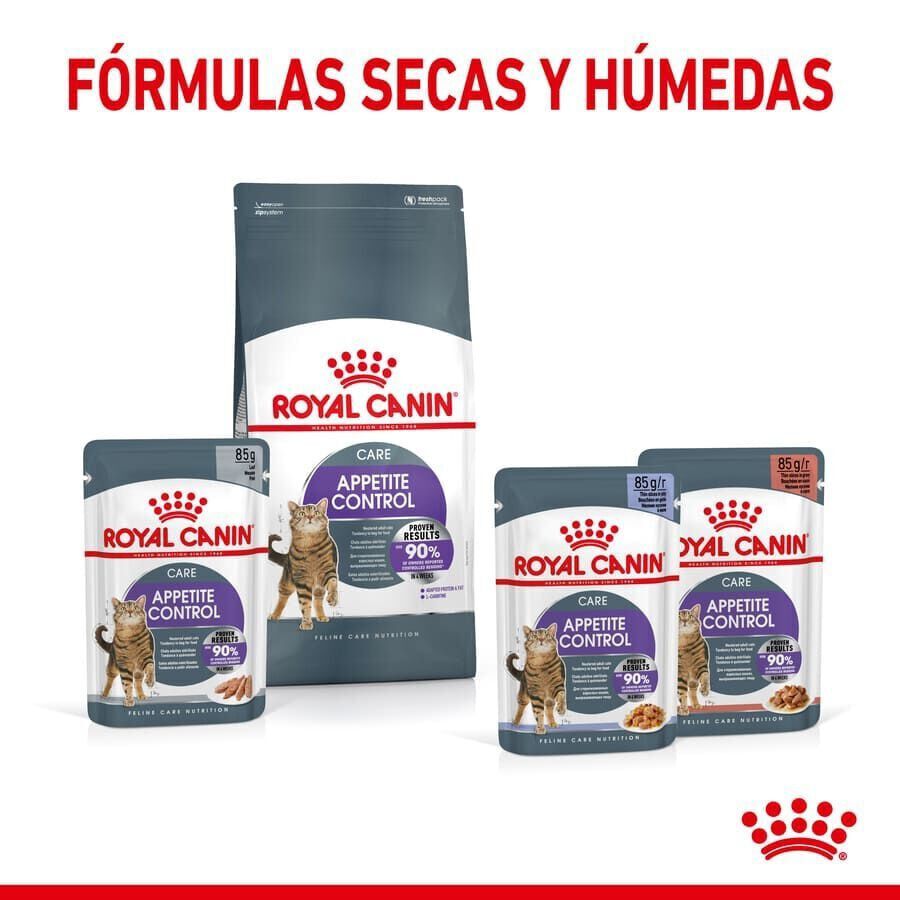 400 g Royal Canin Appetite Control Care ra&ccedil;&atilde;o para gatos , , large Imagem n&uacute;mero 9