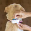 Tractive Localizador GPS para cães, , large Indicador imagem número 2