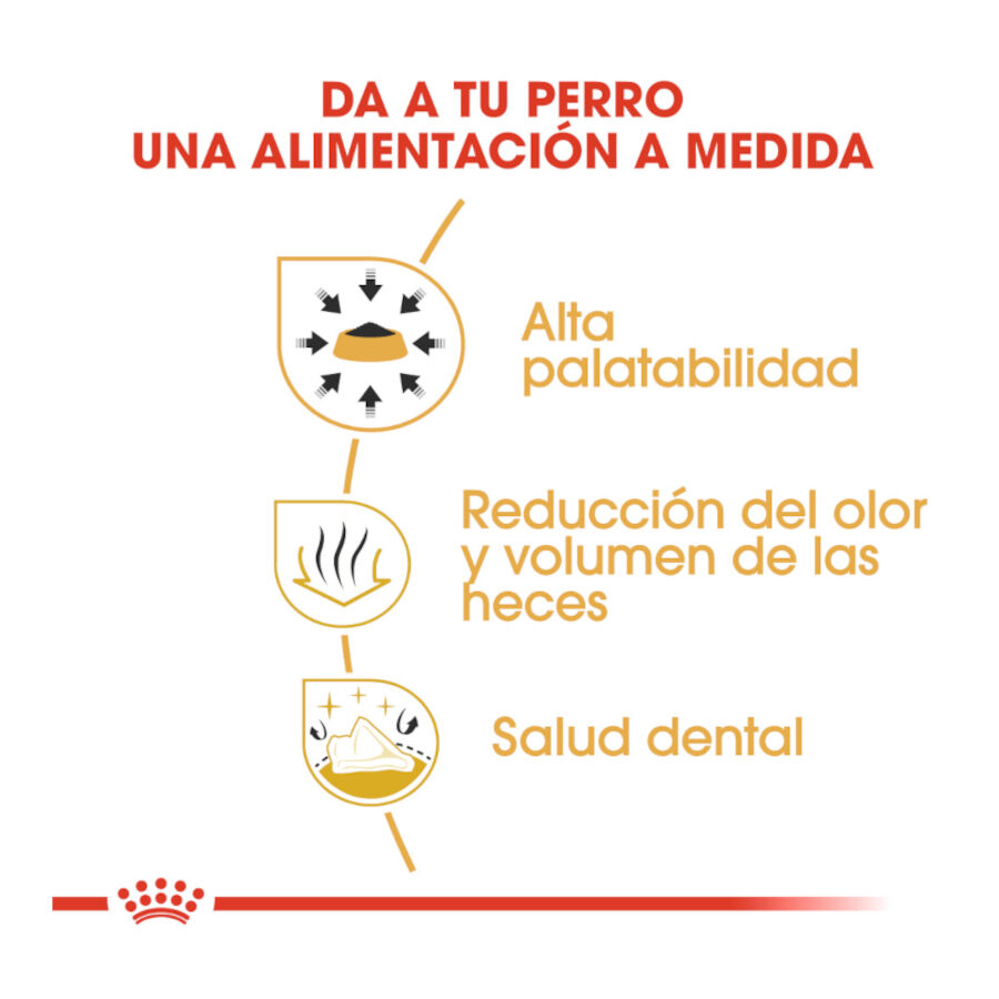 500 g Royal Canin Adult Chihuahua ra&ccedil;&atilde;o para c&atilde;es, , large Imagem n&uacute;mero 6