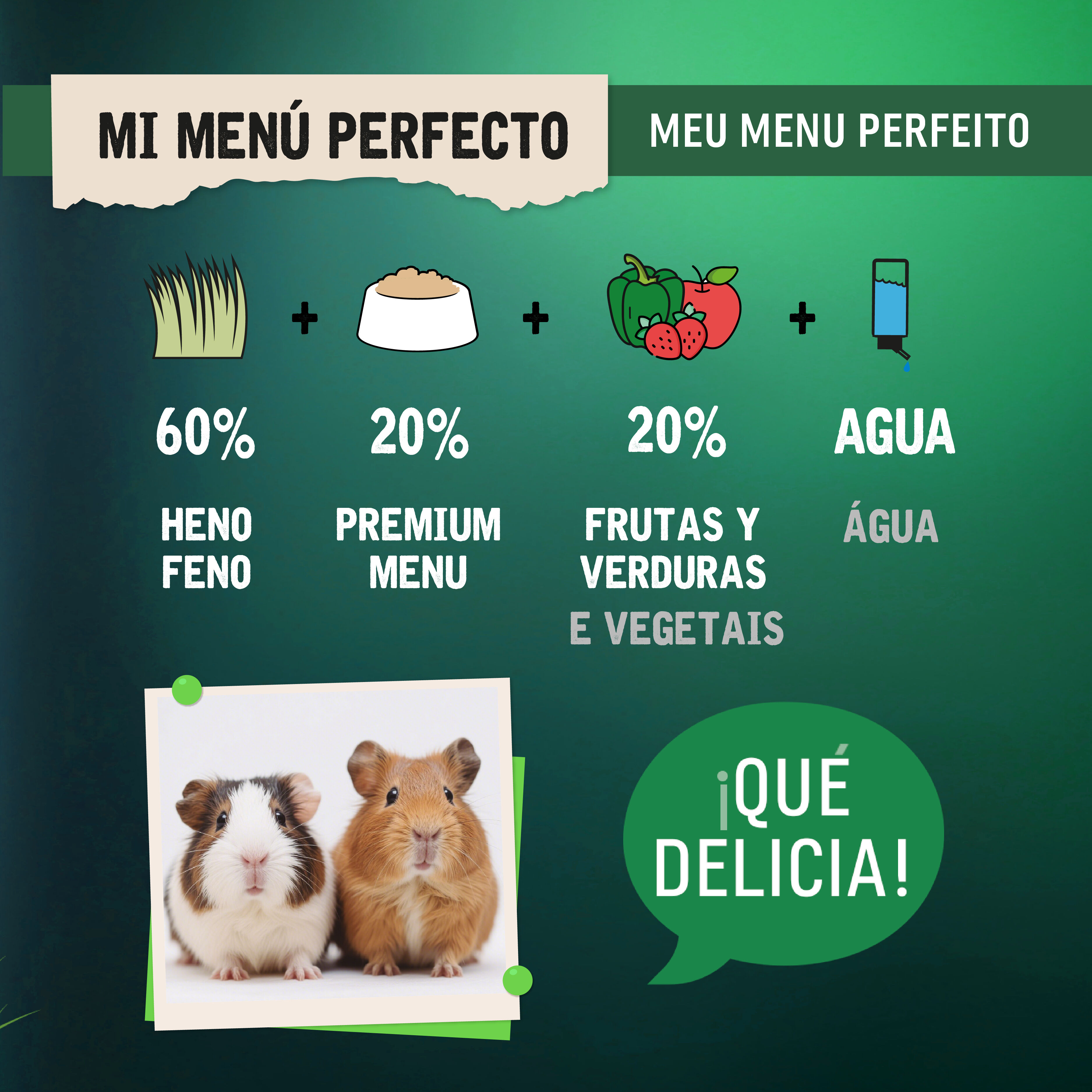 0.8 kg Small Life Premium Men&uacute; Comida para Porquinhos-da-&Iacute;ndia, , large Imagem n&uacute;mero 5