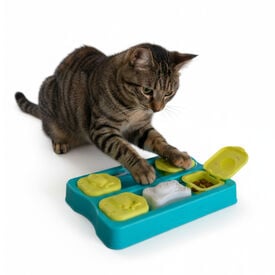 Catstages Jogo de Inteligência Felina