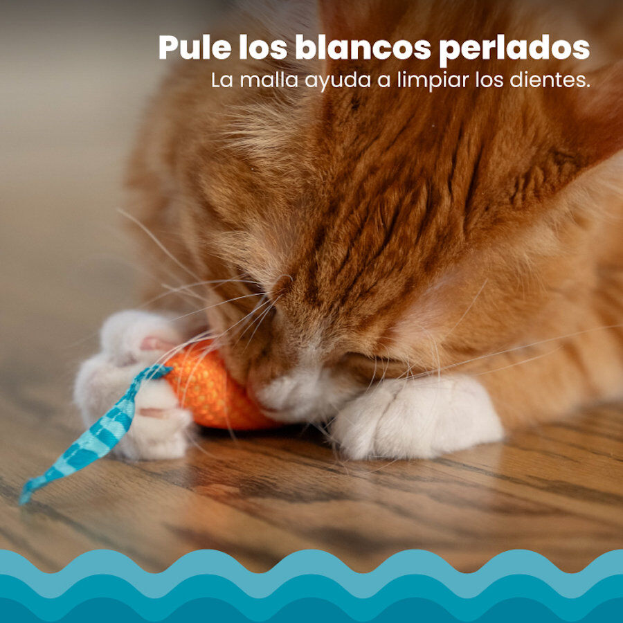 Catstages Chew Rato com Catnip para gatos, , large Imagem n&uacute;mero 5