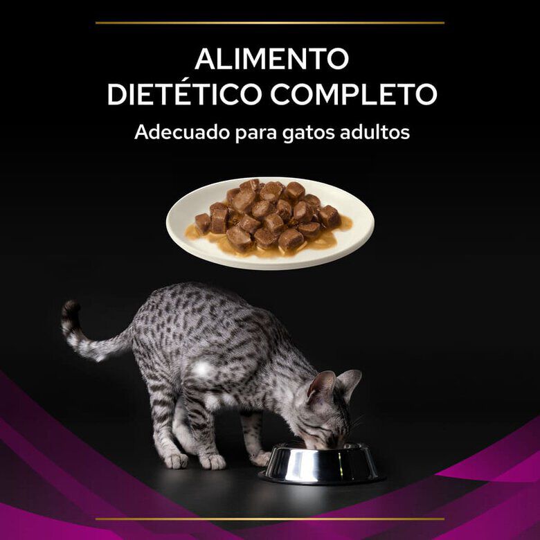 10 saquetas x 85 g Pro Plan Veterinary Diets UR Salm&atilde;o saqueta para gatos, , large Imagem n&uacute;mero 4