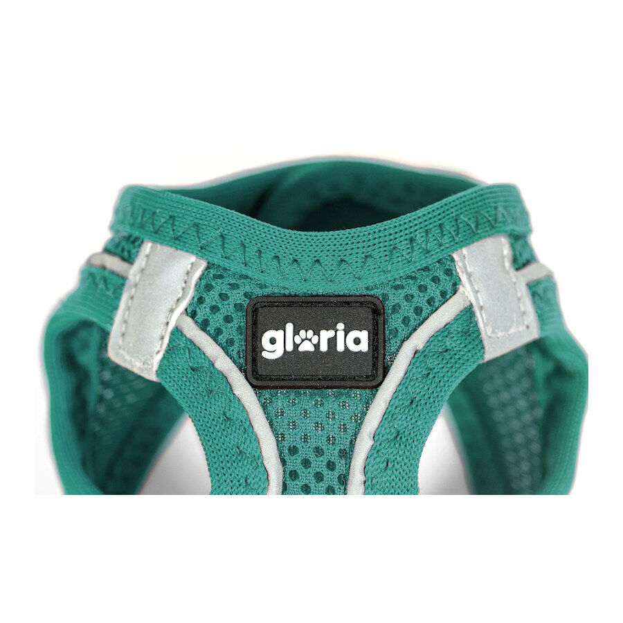 Gloria Air Mesh Trek Star Turquesa Peitoral/Vestido para c&atilde;es, , large Imagem n&uacute;mero 5