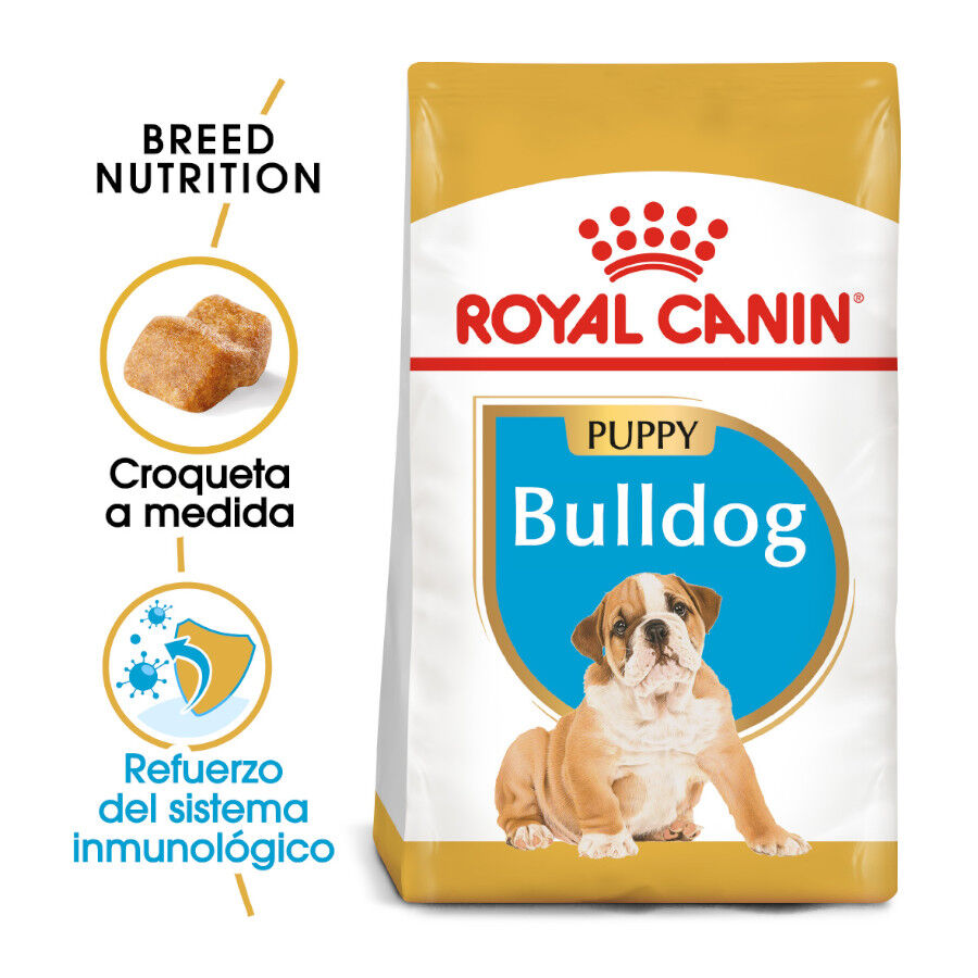 Royal Canin Puppy Bulldog ra&ccedil;&atilde;o para c&atilde;es, , large Imagem n&uacute;mero 1